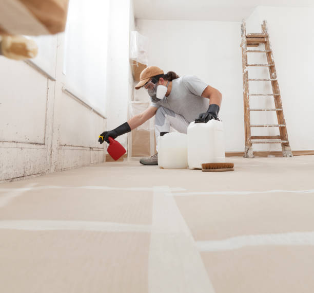 Best HVAC Mold Inspection and Cleaning  in Hillview, KY