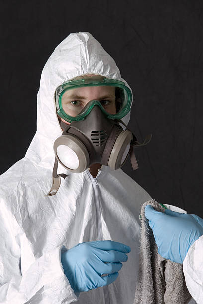 Best Mold Removal for HVAC Installations  in Hillview, KY